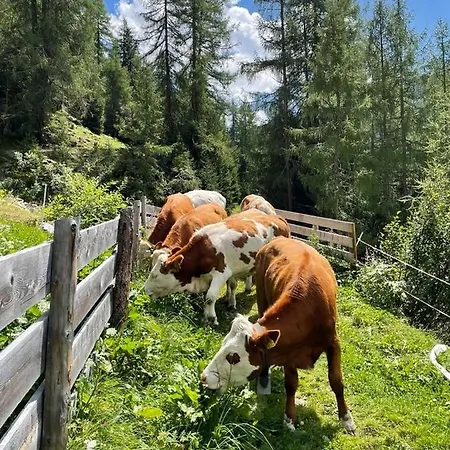 Winnebachhof Apartamento *