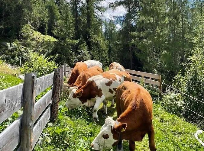 Winnebachhof アパート *